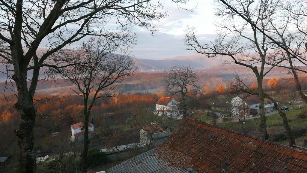 Apartments Cvitini Dvori Garjak Vrlika Buitenkant foto